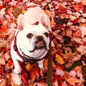 Meet your Posher, Tami